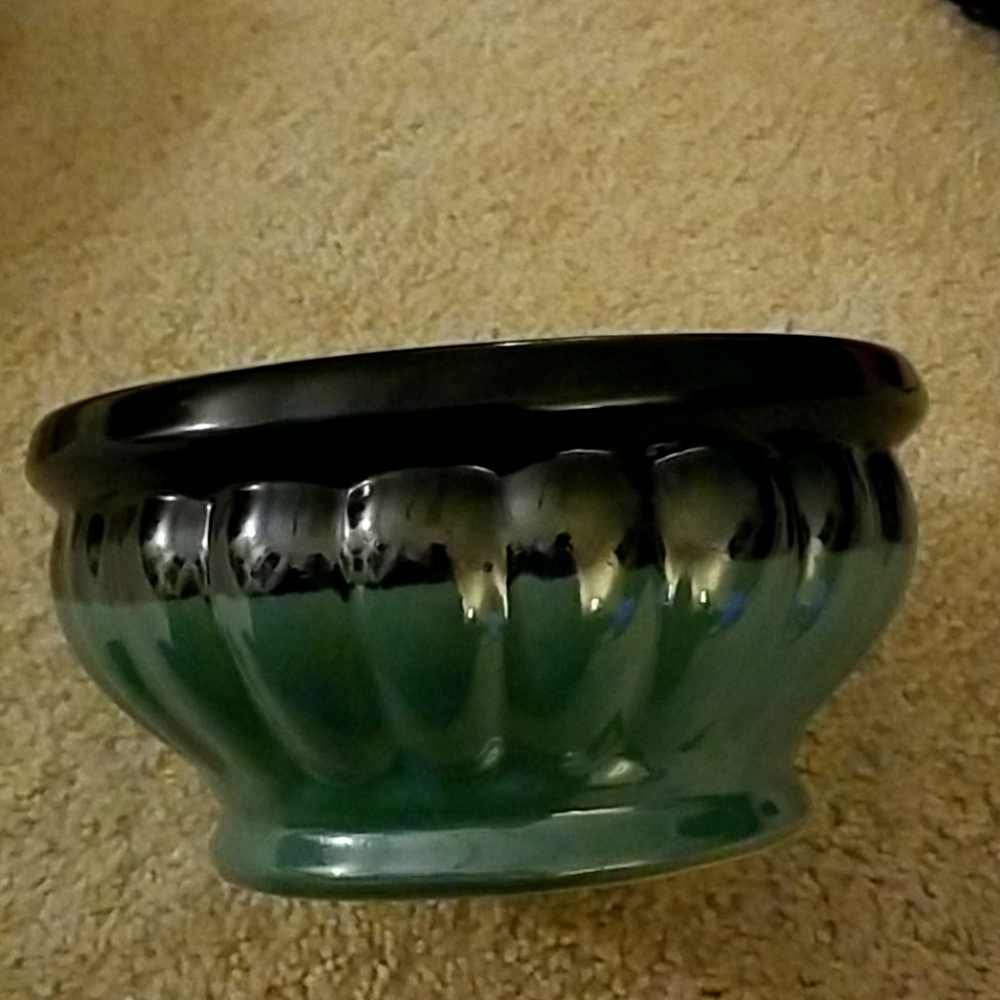 Fruit Bowl Planter Bowl